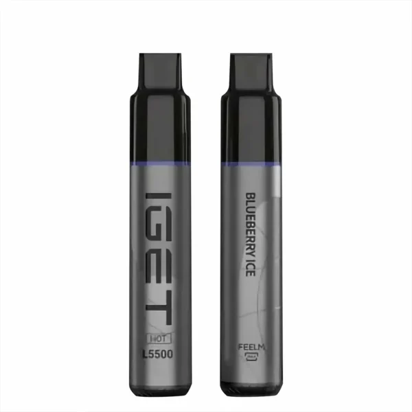 Blueberry Ice 5500 Puffs Disposable Vape